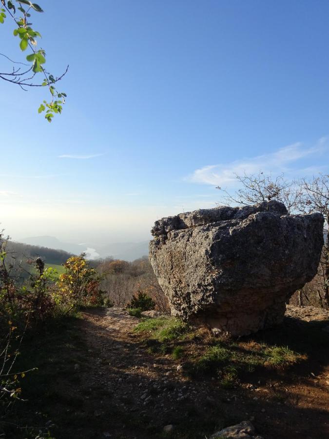 Saint-Maurice-de-RotherensGite 4 Personnes Avec Exterieur别墅 外观 照片